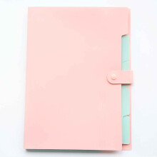 Letter Paper Expanding File Folder with 5 Pockets