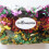 Kattleksaker Mylar Crinkle Balls för innekatter 12-pack 2