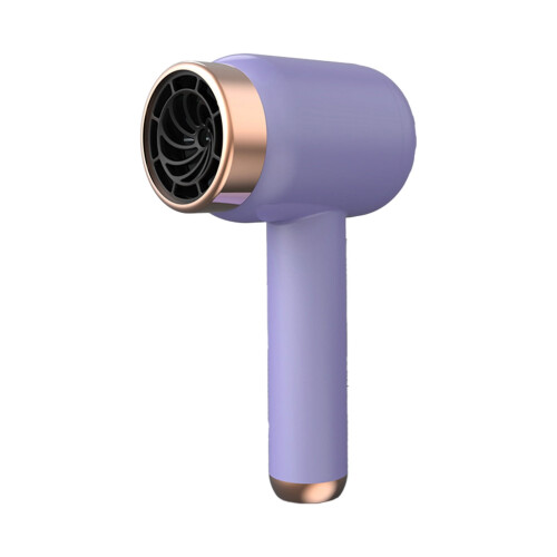 Sèche-cheveux sans fil rechargeable violet léger avec