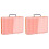 2X 48 Grids Large Plastic Organizer Box with Adjustable Dividers, Beads Storage Containers Compartment Tackle Box Case 1
