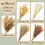 Μπουκέτο με φυσικά αποξηραμένα λουλούδια Pampas Grass 110 τεμάχια 17 ίντσες 3