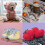 BZIPZ Chunky Chenille Yarn Vibrant Colors 100g 3