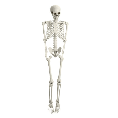 Decorazione di Halloween per esterni con ossa e teschio 5.4 2