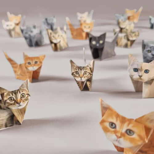 Κιτ Κατασκευής Γάτας Origami: 50 Σχέδια DIY για Ενήλικες και Παιδιά 2