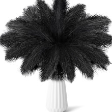 Natural Black Ostrich Feathers Pack of 20, 8-10 Inch