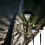 Solar Path Lights Super Bright Dusk-to-Dawn IP65 Waterproof 1