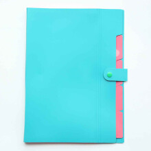 Letter Paper Expanding File Folder with Accordion Pockets
