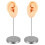 Silicone Ear Mannequin for Piercing Practice Left and Right 1
