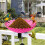 Hummingbird Bird Bath Bowl with Adjustable Base 5