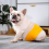 Faixas abdominais reutilizáveis e laváveis para cães, absorventes (pacote com 3) 6