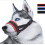 Nylon Dog Muzzle Adjustable Loop for Small Medium Large Dogs 1