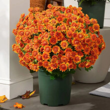 5-Pack UV-Resistant Artificial Mums for Fall Decor, Outdoor Porch & Patio – Compatible with Front Door Planters