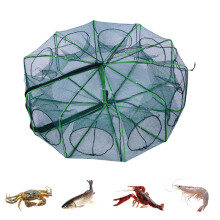 Faltbarer Fischreusen-Kescher, 8-seitig, grün