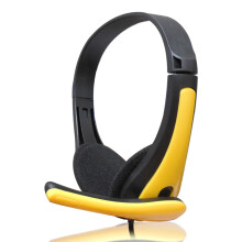 Windcarnival Clear Voice USB Wired Headset with Noise