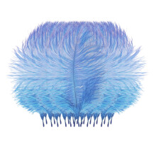 Ostrich Feathers Colorful 50 Pcs