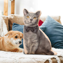 Pet-Shaped Pillow 19.7 Inch Simulated Design