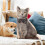 Pet-Shaped Pillow 19.7 Inch Simulated Design 1