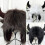 Winter Cow Horn Hat with Thunderbolt Design White 1