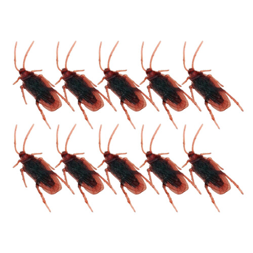 Blagues farceuses, 10 cafards réalistes et effrayants