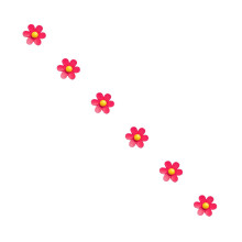 Aimants de réfrigérateur à motif floral rose moyen, lot de 18