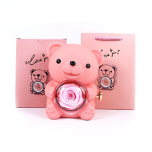 Teddybär-Geschenkset mit konservierter Rose und Mama-Halskette