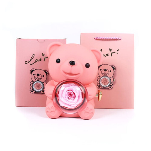 Urso de pelúcia de presente com rosa preservada e colar para a mãe