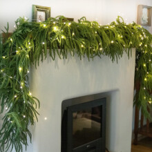 Ghirlanda di pino Bootesun Norfolk con luci, 1,83 m