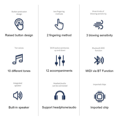 Portable Digital Wind Synthesizer with 10 Tones 2