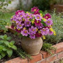 Fleurs de chrysanthème artificielles violettes, 28 têtes, 10 x 30 cm