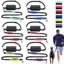 Hands-Free Dog Leash with Zipper Pouch and Dual Padded