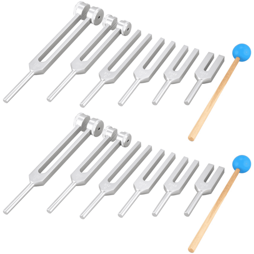 Aluminum Tuning Fork Kit 128Hz-4096Hz 12 pcs silver