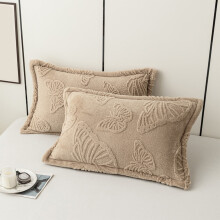 WZXPWT 2 Pairs of Taffy Pillowcases, Double-Sided Velvet Pillow Covers, Thickened Milk Velvet Pillow Slipcovers, Soft Durable Pillow Shams