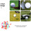 Golfboldmarkører runde gule 50 stk. 5