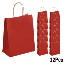 12 Pcs Gift Bags Kraft Paper Bags with Handles for Birthday Party Favor Bags
