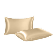 2-Pack Queen Silk Satin Pillowcases for Hair & Skin, Solid Color, Envelope Closure, Compatible with Standard Pillows
