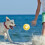 Solid Elastic Dog Teething Toy for Grip and Boredom Relief 5