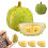 Peluche a forma di durian, cuscino con frutta morbida staccabile 1