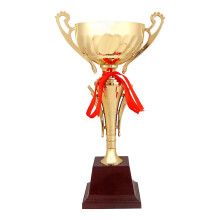 Kids Trophy Award Cup Keepsake 32.5 cm