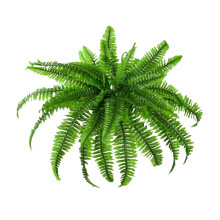 Artificial Boston Fern Bush, UV Resistant, Lifelike Silk Fern with 15–88 Leaves, for Hanging Baskets, Garden/Porch/Window/Home Decor, Compatible