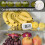 Digital Refrigerator Thermometer with LCD Display and 8