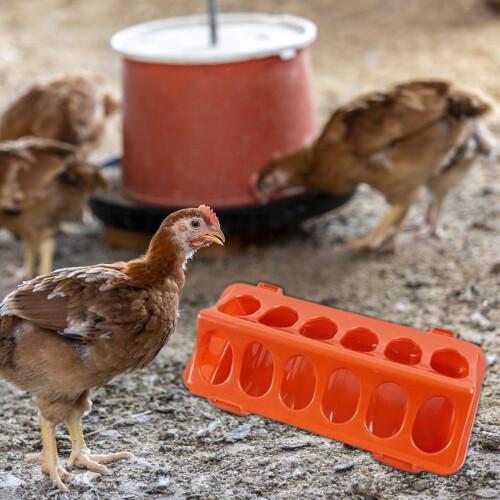 Chicken Feeder 12-Hole 2 Packs 1