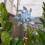 Reflective Windmill Spinner Bird Deterrent 6-Pack 6