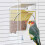 Hanging Bird Feeder Transparent 1.7L Large Capacity 1