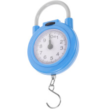 Portable digital luggage scale with hook, grams