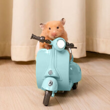 Scooter-Spielzeug mit Licht und Musik, blau, 1 Stück