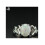 Oval White Opal Ring 925 Sterling Silver Size 10 7
