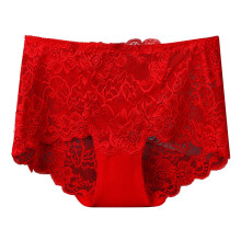 Women's Floral Lace High-Rise Tummy Control Briefs
