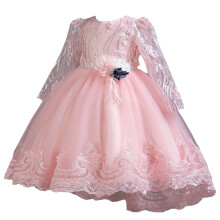 Pink Princess Gown for Girls 4-6 Years: Floral Long Sleeve