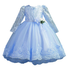 Girls' sky blue princess gown long sleeves floral print