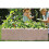 FRCOLOR Garden Cement Mold Fence Decoration 7